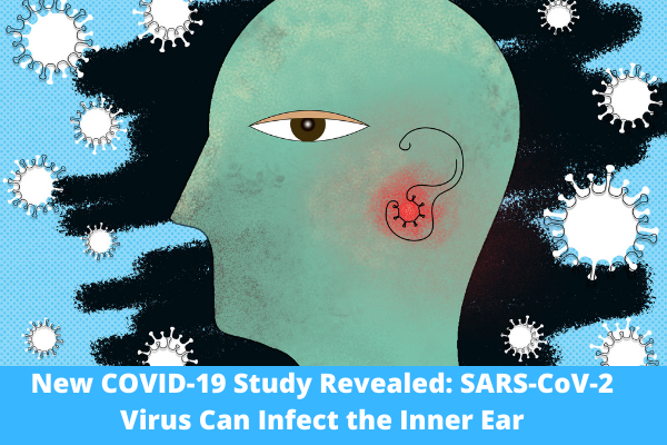 New COVID-19 Study Revealed: SARS-CoV-2 Virus Can Infect the Inner Ear
