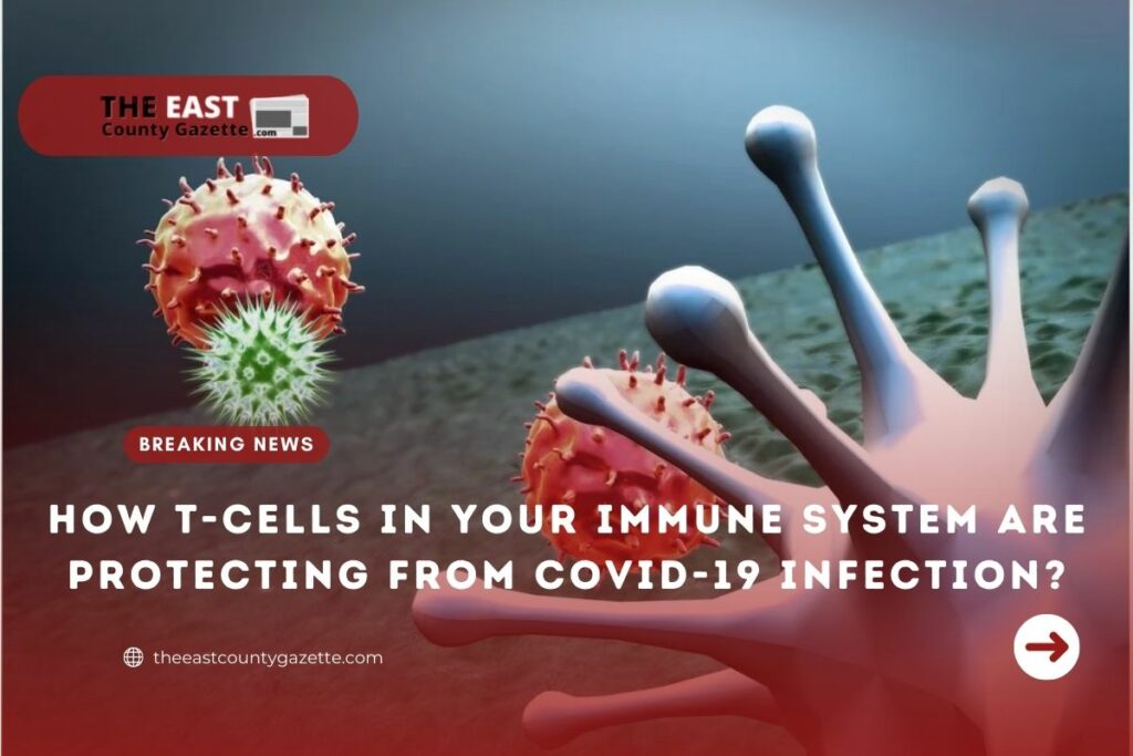 T-cells in Your Immune System