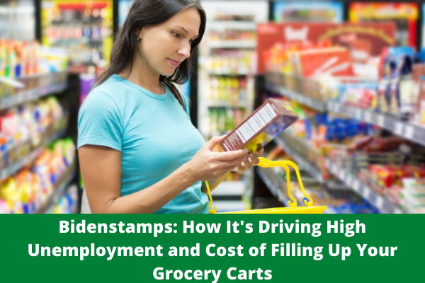 Bidenstamps: How It's Driving High Unemployment and Cost of Filling Up Your Grocery Carts
