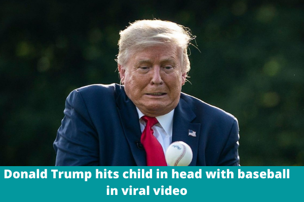 Donald Trump hits child in head with baseball in viral video
