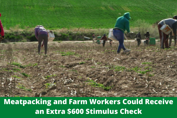 Meatpacking and Farm Workers Could Receive an Extra $600 Stimulus Check