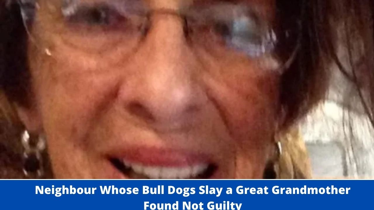 Neighbour Whose Bull Dogs Slay a Great Grandmother Found Not Guilty