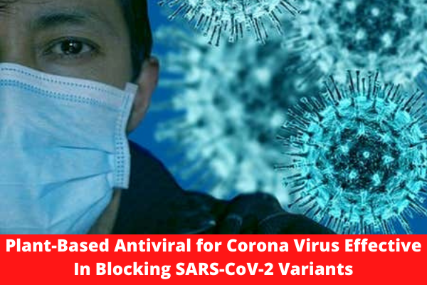 Plant-Based Antiviral for Corona Virus Effective In Blocking SARS-CoV-2 Variants