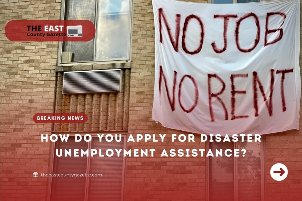 How Do You Apply for Disaster Unemployment Assistance? The East