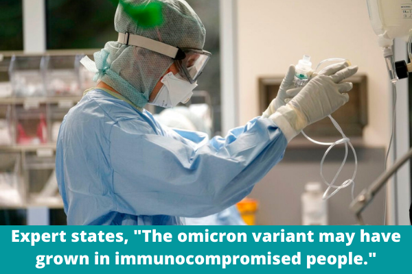 Expert states, "The omicron variant may have grown in immunocompromised people."