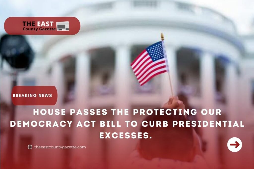 Protecting Our Democracy Act Bill