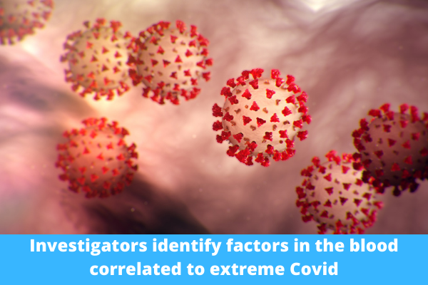 Investigators identify factors in the blood correlated to extreme Covid