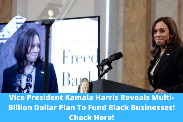Vice President Kamala Harris Reveals Multi-Billion Dollar Plan To Fund Black Businesses! Check Here!