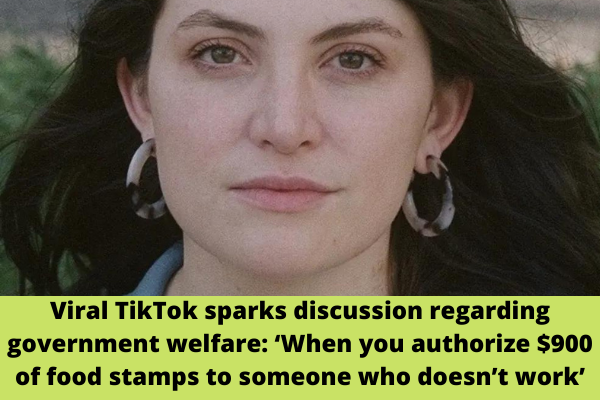 Viral TikTok sparks discussion regarding government welfare: ‘When you authorize $900 of food stamps to someone who doesn’t work’