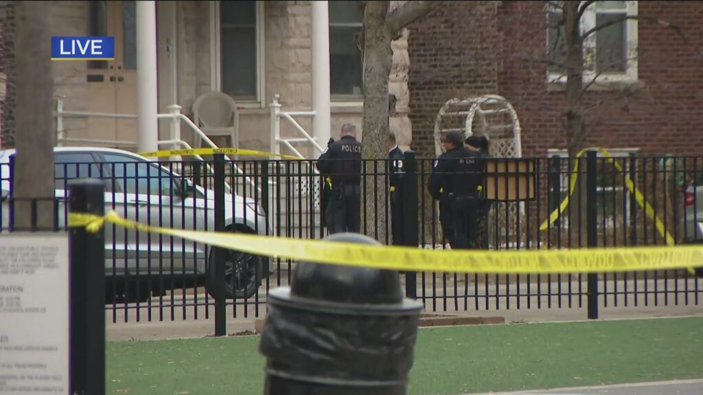 A man shot 2 dogs in Chicago as self defense