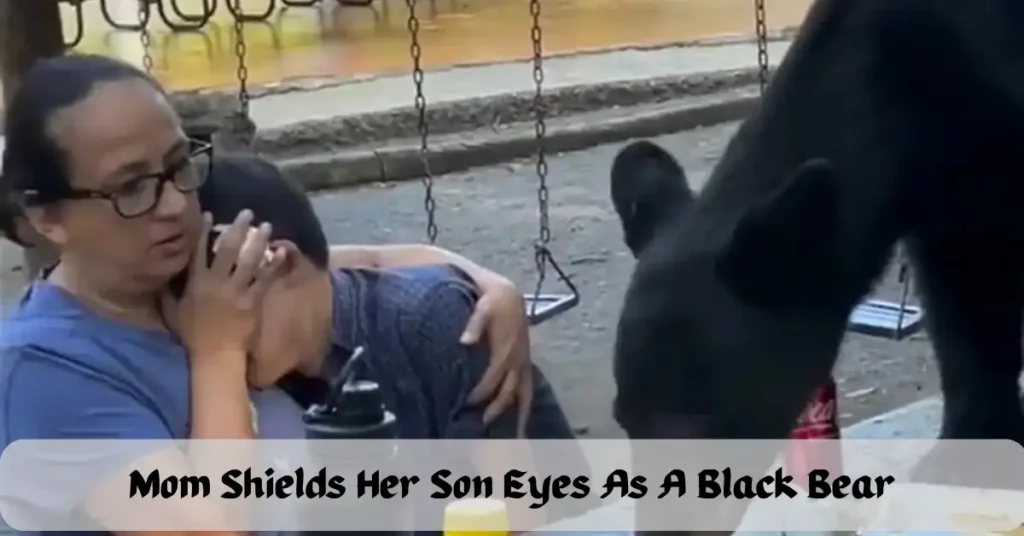 Mom Shields Her Son Eyes As A Black Bear