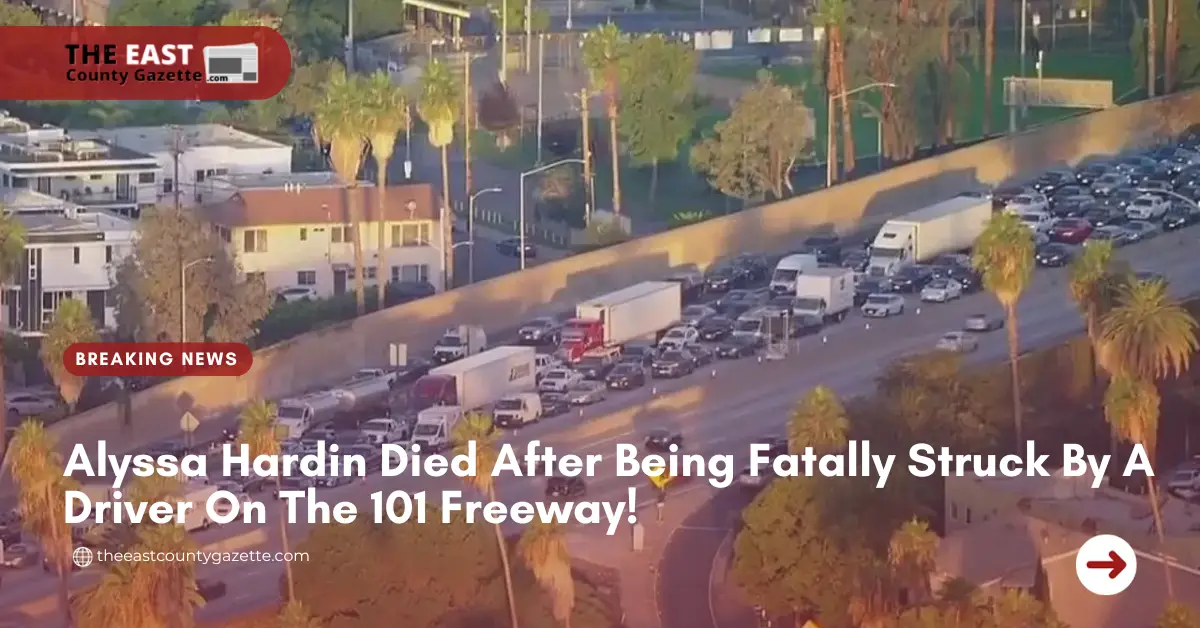 Alyssa Hardin Died After Being Fatally Struck By A Driver On The 101 Freeway!