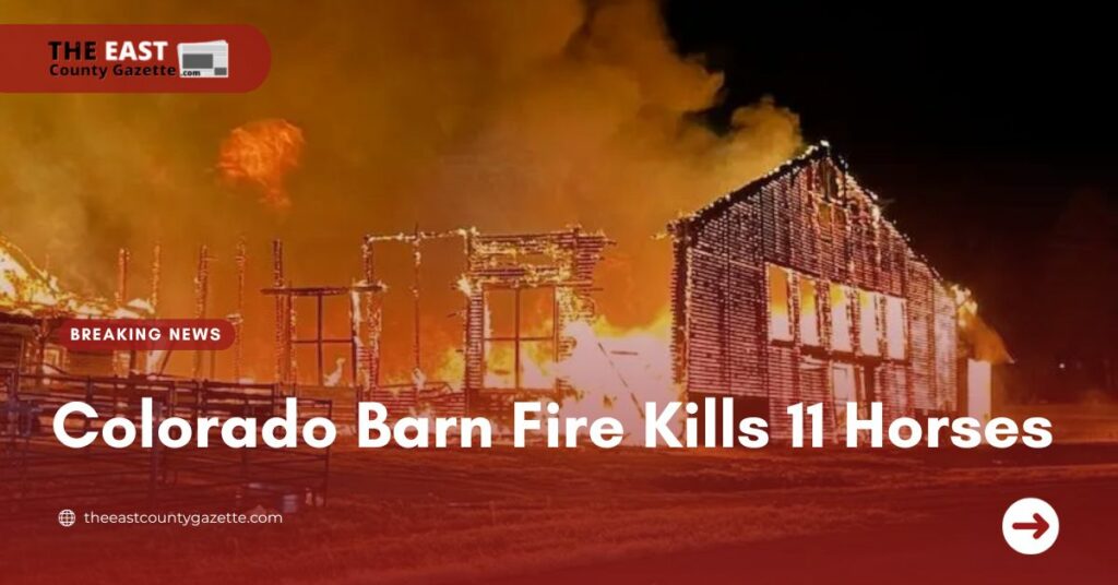 Colorado Barn Fire Kills 11 Horses