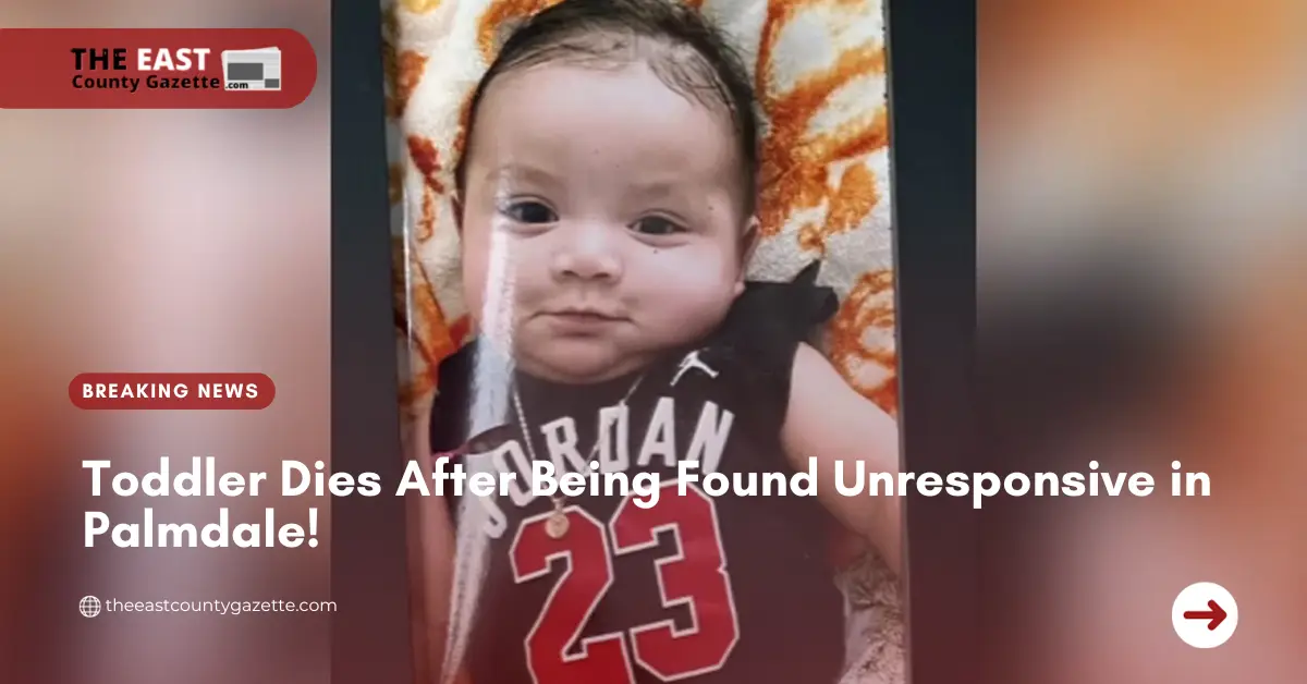 Toddler Dies After Being Found Unresponsive in Palmdale!