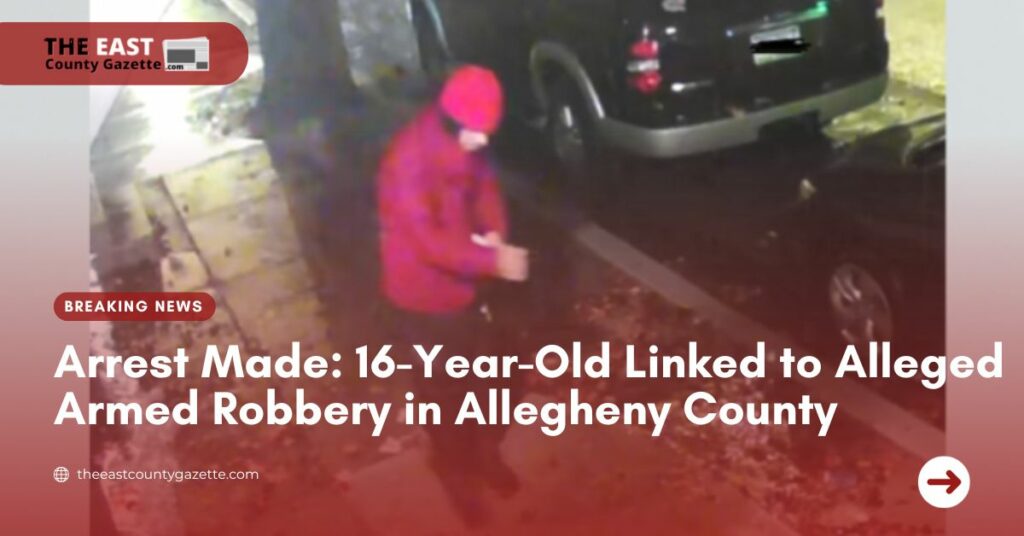 Arrest Made 16-Year-Old Linked to Alleged Armed Robbery in Allegheny County