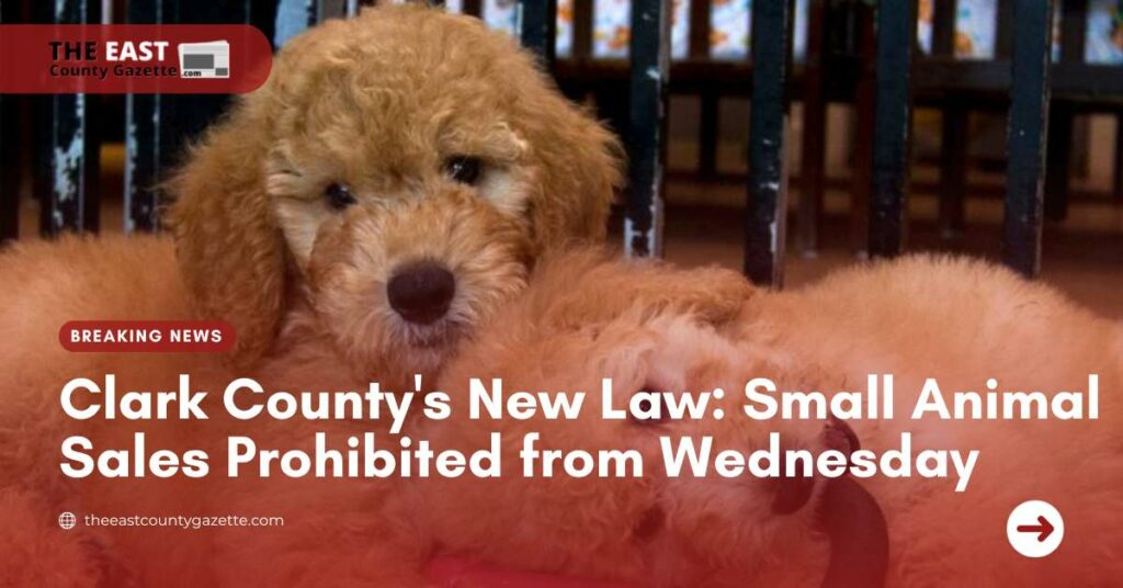 Clark County's New Law Small Animal Sales Prohibited from Wednesday