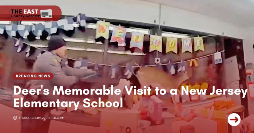 Deer's Memorable Visit to a New Jersey Elementary School