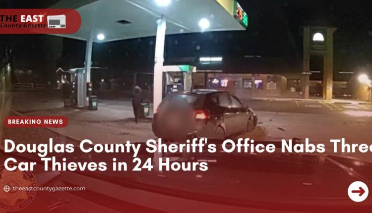 Douglas County Sheriff's Office Nabs Three Car Thieves In 24 Hours ...