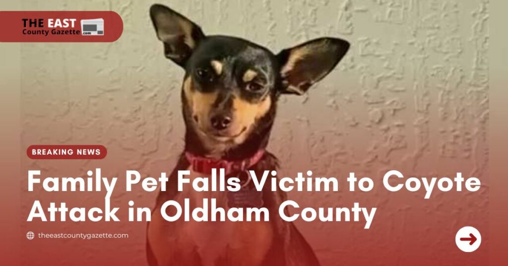 Family Pet Falls Victim to Coyote Attack in Oldham County