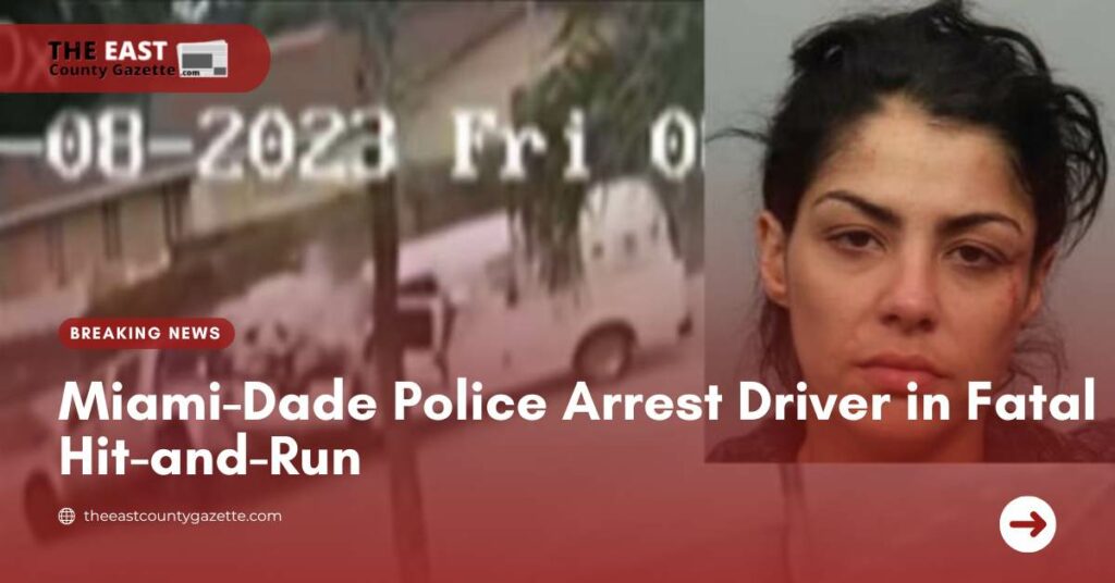 Miami-Dade Police Arrest Driver in Fatal Hit-and-Run