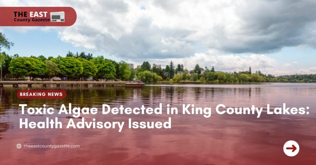 Toxic Algae Detected in King County Lakes Health Advisory Issued