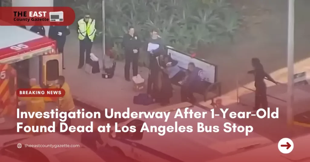 Investigation Underway After 1-Year-Old Found Dead at Los Angeles Bus Stop