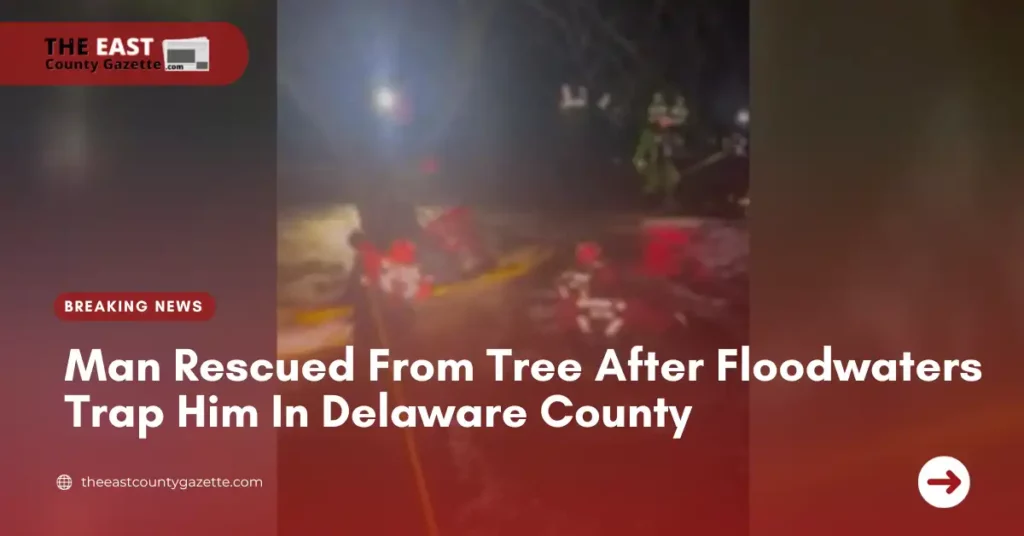 Man Rescued From Tree After Floodwaters Trap Him In Delaware County