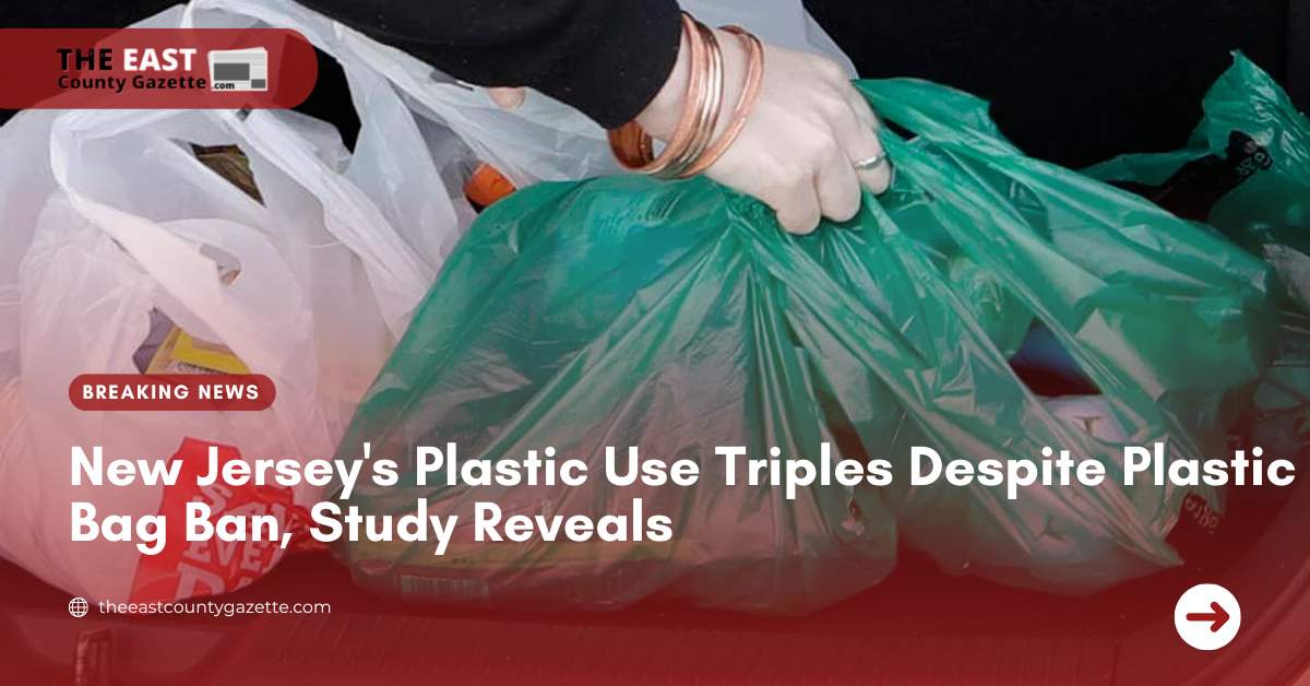 New Jersey's Plastic Use Triples Despite Plastic Bag Ban, Study Reveals