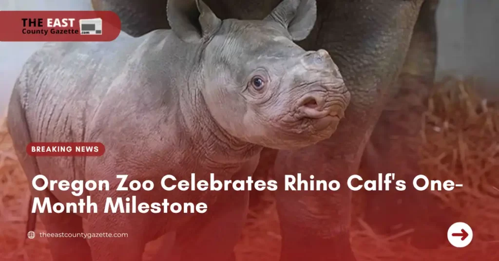Oregon Zoo Celebrates Rhino Calf's One-Month Milestone