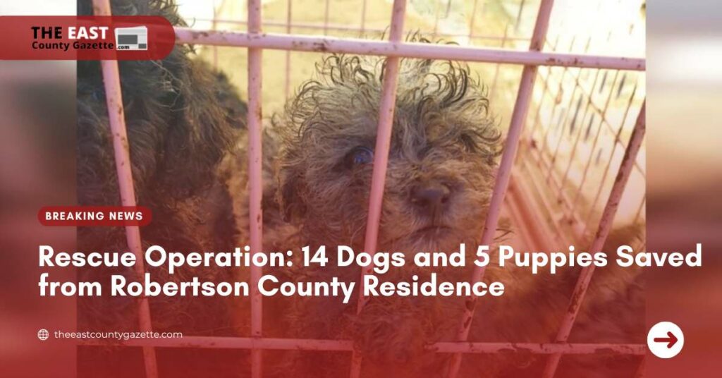 Rescue Operation 14 Dogs and 5 Puppies Saved from Robertson County Residence