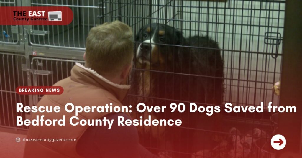 Rescue Operation Over 90 Dogs Saved from Bedford County Residence