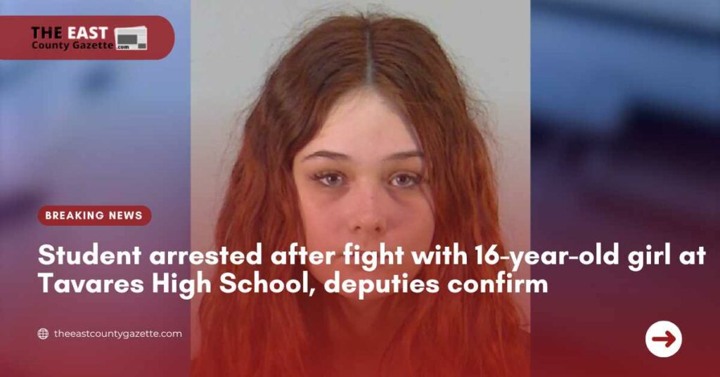 Student arrested after fight with 16-year-old girl at Tavares High School, deputies confirm