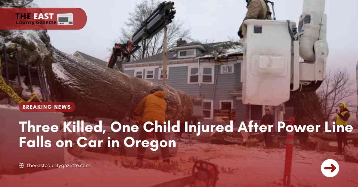 Three Killed, One Child Injured After Power Line Falls on Car in Oregon