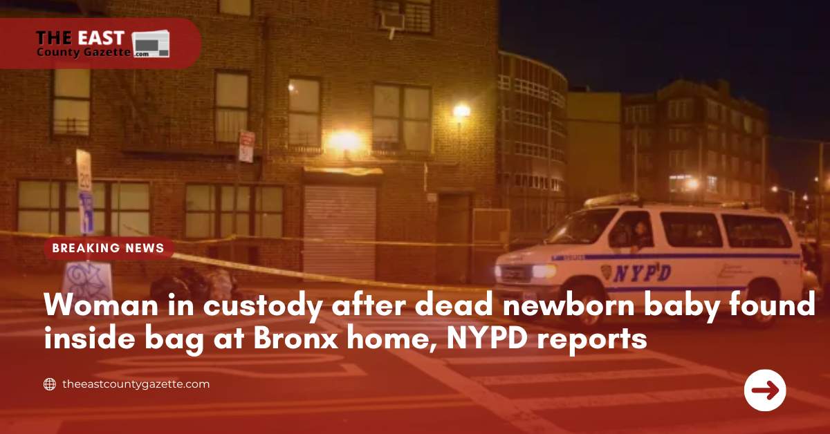 Woman in custody after dead newborn baby found inside bag at Bronx home, NYPD reports